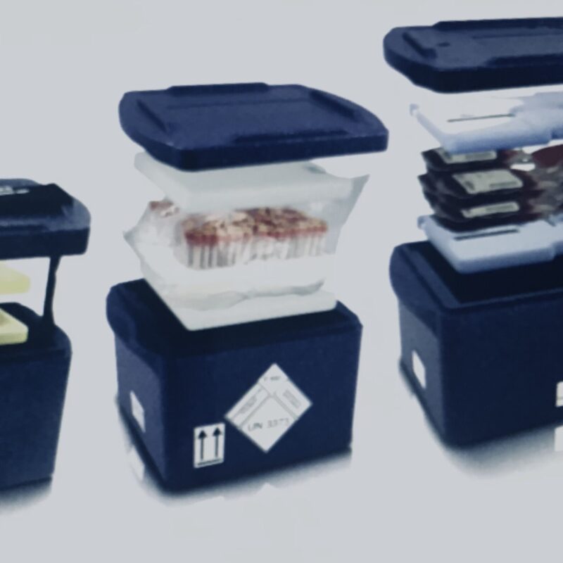 Neveras para transporte